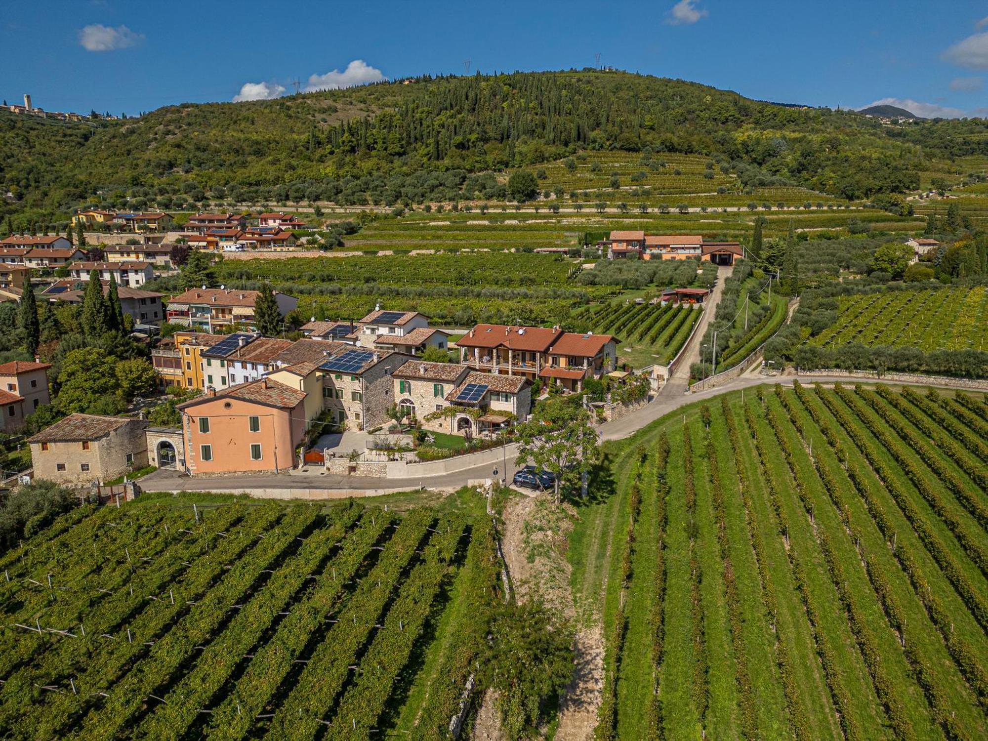Corte Formigar Sant'Ambrogio di Valpolicella Ngoại thất bức ảnh